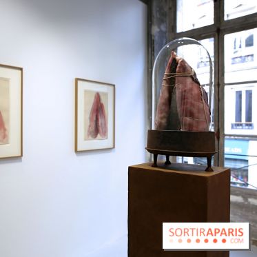 Berlinde De Bruyckere : nos photos de son exposition 'Need' à la Galleria Continua 