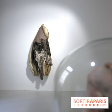 Berlinde De Bruyckere : nos photos de son exposition 'Need' à la Galleria Continua 