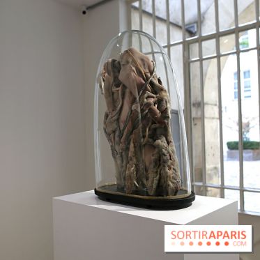 Berlinde De Bruyckere : nos photos de son exposition 'Need' à la Galleria Continua otor 2025100916310