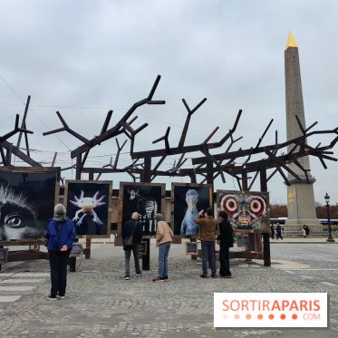 Photoclimat : derniers jours pour la biennale artistique place de la Concorde à Paris
