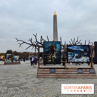 Photoclimat : derniers jours pour la biennale artistique place de la Concorde à Paris
