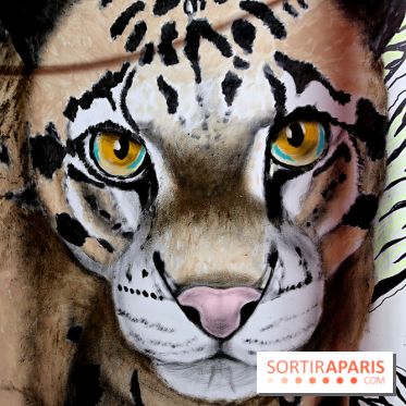 Les Bombasphères investissent le bar Balou à Paris 