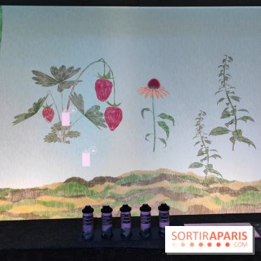 Jardiner : une exposition au cœur de la nature à vivre à la Cité des Sciences et de l'Industrie