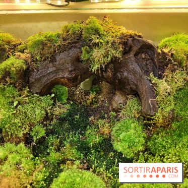 Jardiner : une exposition au cœur de la nature à vivre à la Cité des Sciences et de l'Industrie