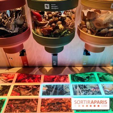 Jardiner : une exposition au cœur de la nature à vivre à la Cité des Sciences et de l'Industrie