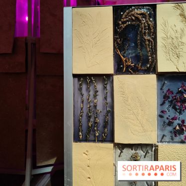 Jardiner : une exposition au cœur de la nature à vivre à la Cité des Sciences et de l'Industrie