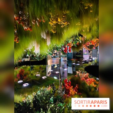 Jardiner : une exposition au cœur de la nature à vivre à la Cité des Sciences et de l'Industrie
