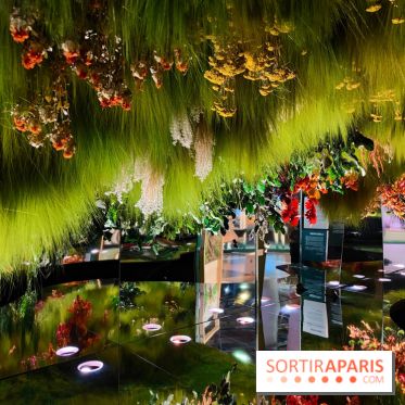 Jardiner : une exposition au cœur de la nature à vivre à la Cité des Sciences et de l'Industrie - fotor 1760436885761