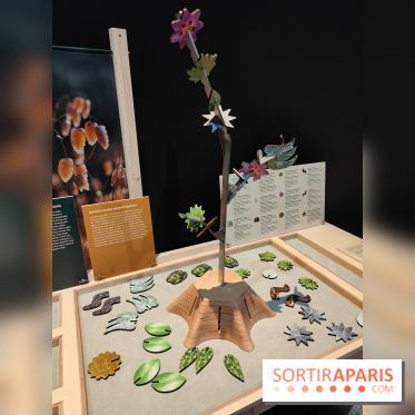 Jardiner : une exposition au cœur de la nature à vivre à la Cité des Sciences et de l'Industrie - fotor 1760436899949
