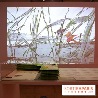 Isao Takahata - Pionnier du dessin animé contemporain, de l’après-guerre au Studio Ghibli, nos photos de l'expo