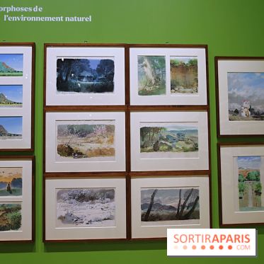 Isao Takahata - Pionnier du dessin animé contemporain, de l’après-guerre au Studio Ghibli, nos photos de l'expo