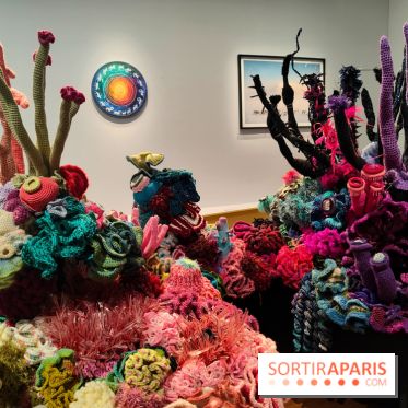 Migrations et climat : une exposition instructive au Palais de la Porte Dorée, nos photos