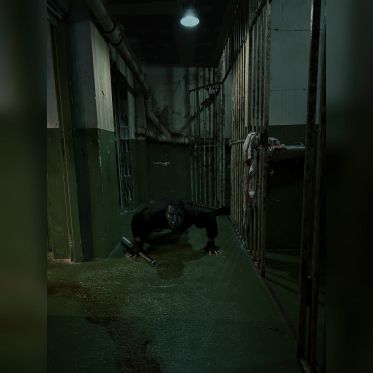 The Scary Trip : un escape game d'Halloween pas comme les autres ! - IMG 6363