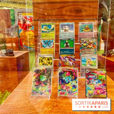 Pop-up Pokémon - IMG 6806