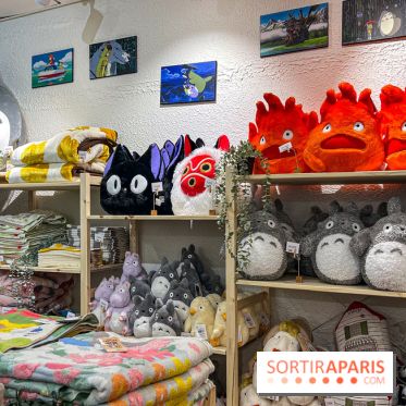 Maison Ghibli : le pop-up store officiel du studio d'animation japonais à Paris - A8AC8D84 B566 44BC 979F A8C8448B8CEC