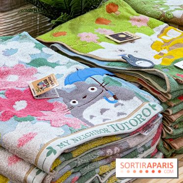 Maison Ghibli : le pop-up store officiel du studio d'animation japonais à Paris - 19382B21 7B50 40CF ADFF F01E1C4F5FE7