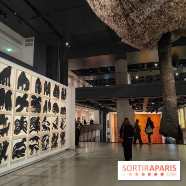 Exposition Générale : la Fondation Cartier raconte 40 ans d'expositions pour sa réouverture