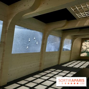 Dans le sillage de Magellan