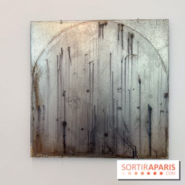 Ciel clair / eaux troubles : l’exposition de Steffani Jemison à Lafayette Anticipations à Paris - IMG 0039