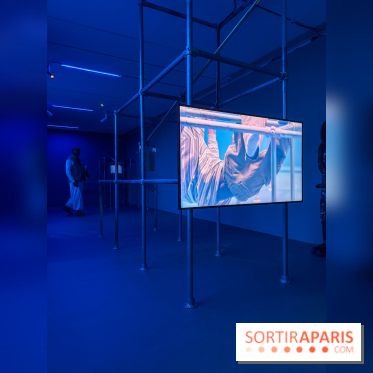 Ciel clair / eaux troubles : l’exposition de Steffani Jemison à Lafayette Anticipations à Paris - IMG 0053