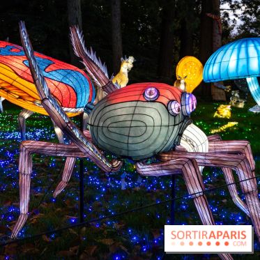 Thoiry Lumières Sauvages 2025 : le Bal des Esprits - A7C09480