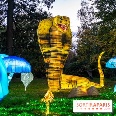 Thoiry Lumières Sauvages 2025 : le Bal des Esprits - A7C09484