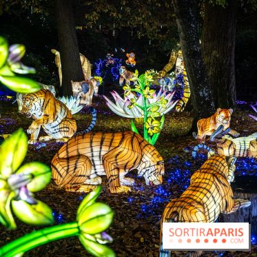 Thoiry Lumières Sauvages 2025 : le Bal des Esprits - A7C09485