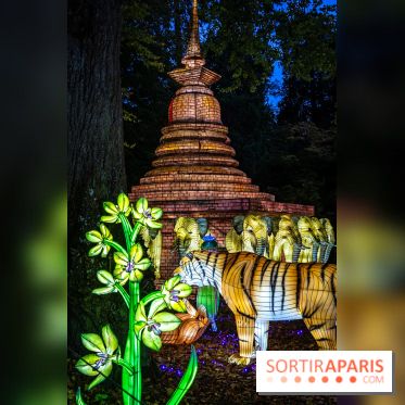 Thoiry Lumières Sauvages 2025 : le Bal des Esprits - A7C09486