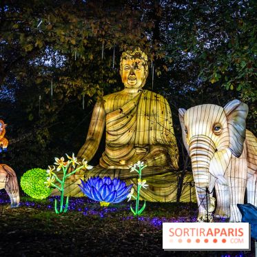 Thoiry Lumières Sauvages 2025 : le Bal des Esprits - A7C09487