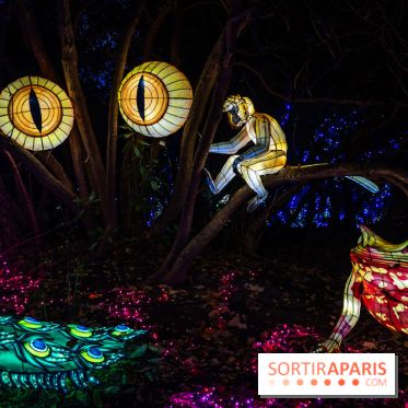Thoiry Lumières Sauvages 2025 : le Bal des Esprits