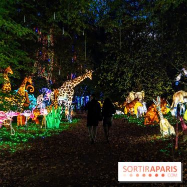 Thoiry Lumières Sauvages 2025 : le Bal des Esprits
