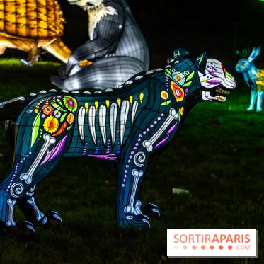 Thoiry Lumières Sauvages 2025 : le Bal des Esprits
