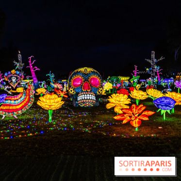 Thoiry Lumières Sauvages 2025 : le Bal des Esprits - A7C09516