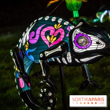 Thoiry Lumières Sauvages 2025 : le Bal des Esprits - A7C09521