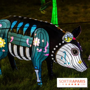 Thoiry Lumières Sauvages 2025 : le Bal des Esprits