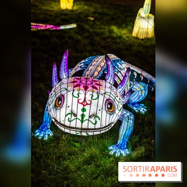 Thoiry Lumières Sauvages 2025 : le Bal des Esprits