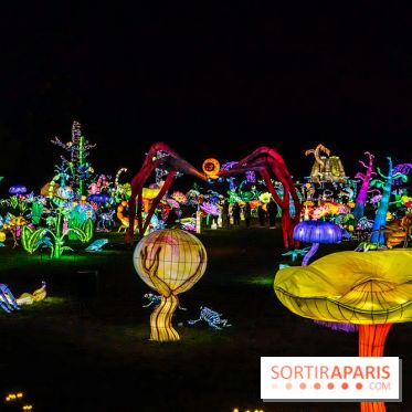 Thoiry Lumières Sauvages 2025 : le Bal des Esprits