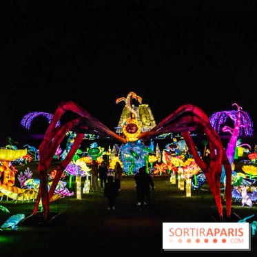 Thoiry Lumières Sauvages 2025 : le Bal des Esprits - A7C09541