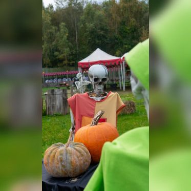 Les Forêts de la Terreur à Sherwood Parc - P1290160