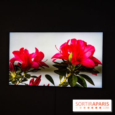 Exposition 'Couleurs de Corée, Lumière sur l’art contemporain coréen' au Centre Culturel Coréen - les photos - A7C09797