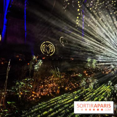 Le Parc de l'étrange 2025, Halloween au Parc André Citroën à Paris - photos - IMG 9755