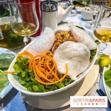Le Bambou restaurant vietnamien Paris 13e - photos - salade de mangue verte aux crevettes