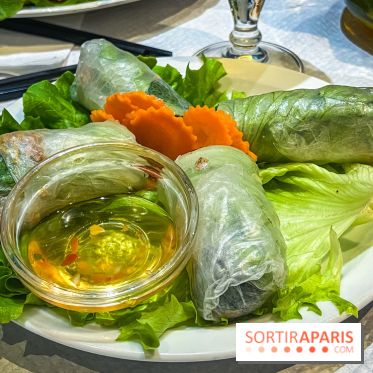 Le Bambou restaurant vietnamien Paris 13e - photos - rouleaux de printemps