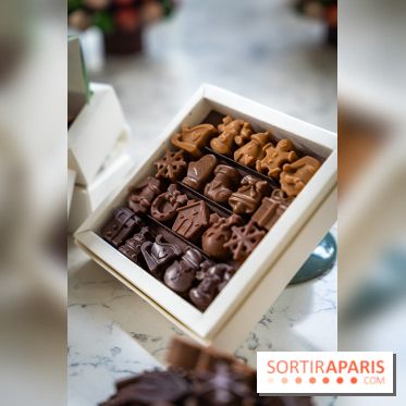 Les Bûches de Noël de Pleincœur par Maxime Frédéric 2025 et ses créations de fêtes