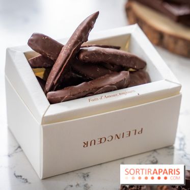 Les Bûches de Noël de Pleincœur par Maxime Frédéric 2025 et ses créations de fêtes - A7C07674