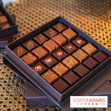 Bûche de Noël du Bristol 2025 signée Maxence Barbot : l'Art du Sommet - photos - A7C08943