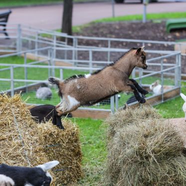 Le Meeting d'hiver arrive en Novembre à  l’Hippodrome Paris-Vincennes - 8