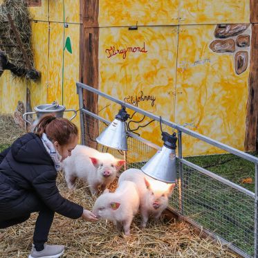 Le Meeting d'hiver arrive en Novembre à  l’Hippodrome Paris-Vincennes - 12