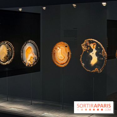 Rêveries de pierres : l'exposition rétrospective gratuite à l'Ecole des Arts Joailliers - IMG 0119