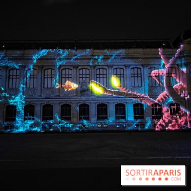 En voie d'illumination : Lumières de la nature : le festival nocturne hivernal du Jardin des Plantes - fotor 1762431466628